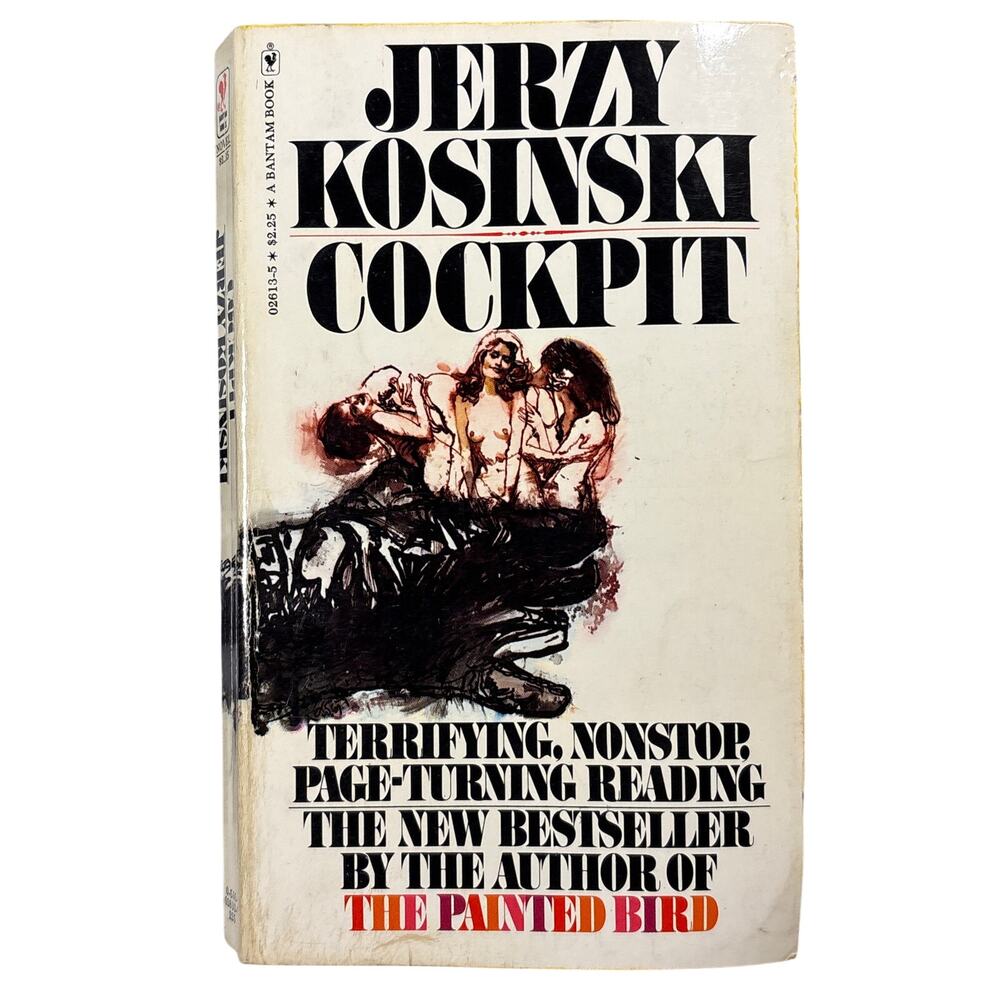 Cockpit by Jerzy Kosinski Bantam Book 1976 2nd print Vintage Classic Novel